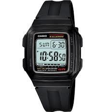 Casio Classic Watch